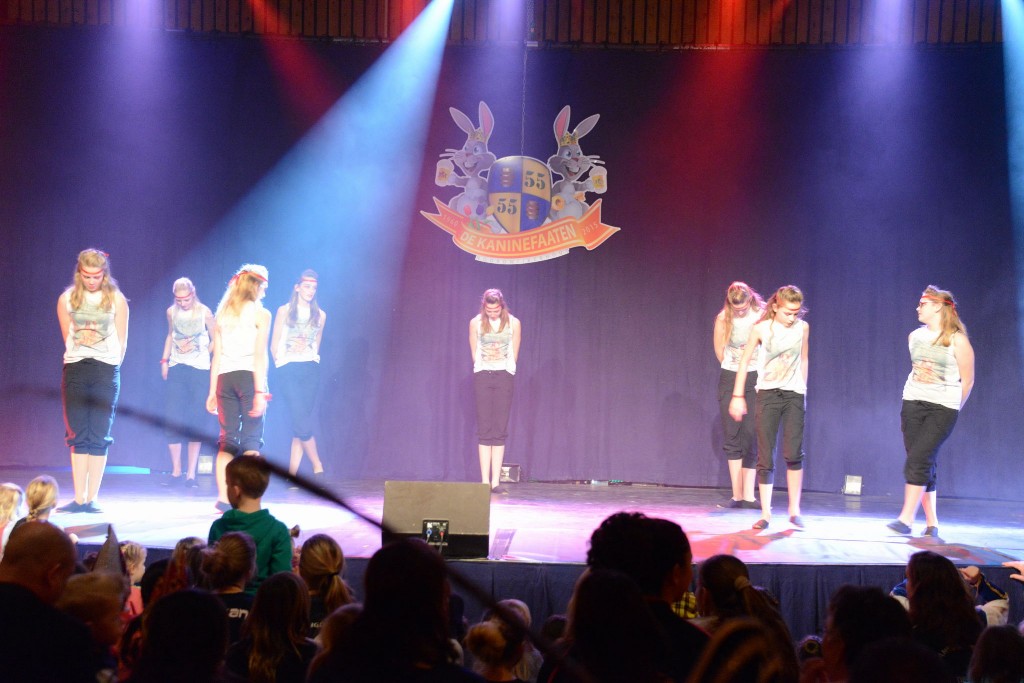 ../Images/Dansmarieke festival 2015 418.jpg